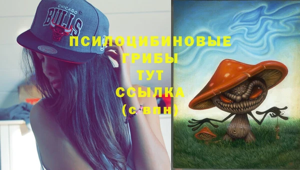 амф Алексеевка